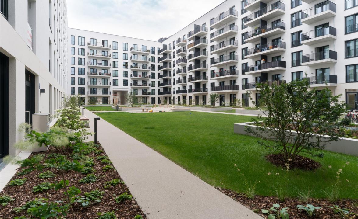 Heide 1 8