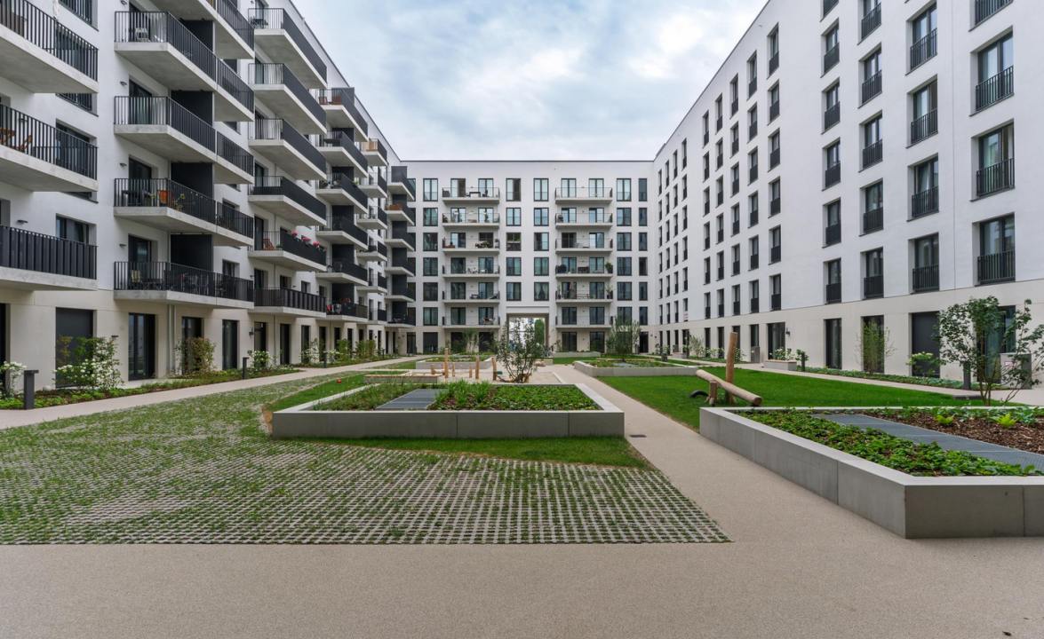 Heide 1 7